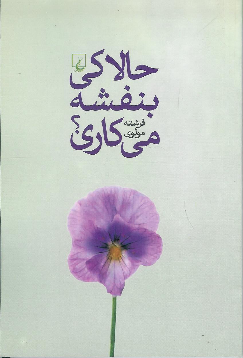 حالا کی بنفشه می کاری؟