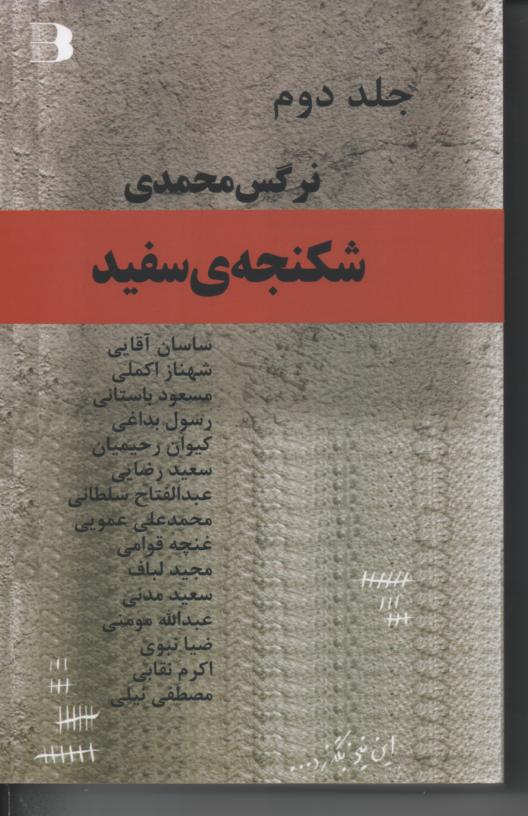 شکنجه سفید جلد دوم، ، گفتگو با پانزده فعال سیاسی و اجتماهی در باره سلول انفرادی و شکنجه